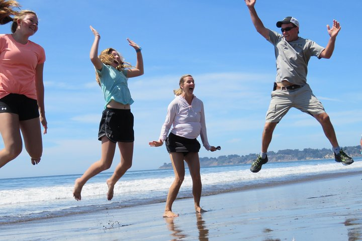 Discover Point Reyes natural wonders and ancient redwoods all-inclusive  - Photo 1 of 25